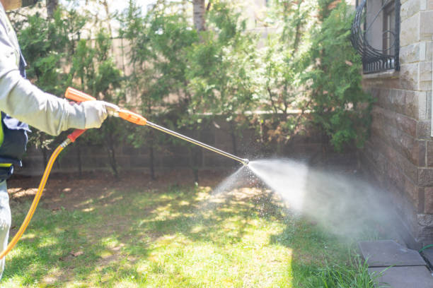 Best Seasonal Pest Control  in Moyock, NC